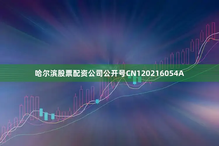 哈尔滨股票配资公司公开号CN120216054A