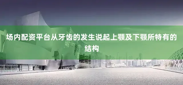 场内配资平台从牙齿的发生说起上颚及下颚所特有的结构