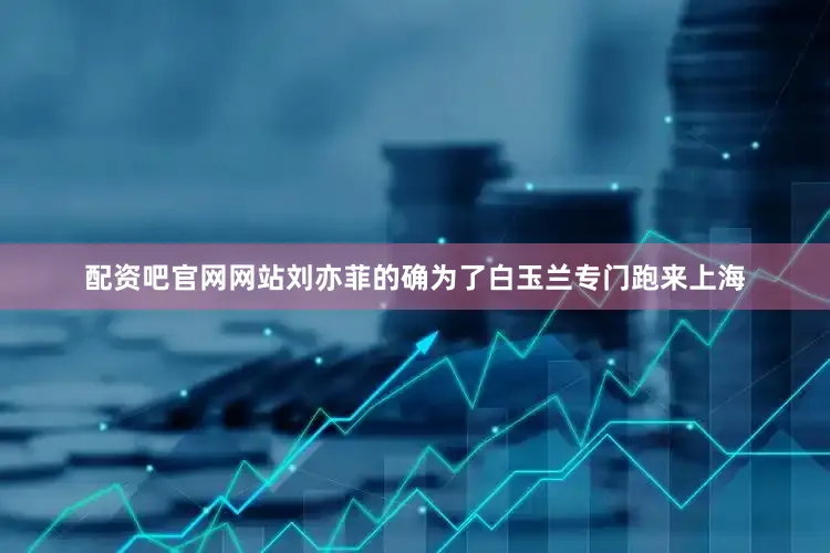 配资吧官网网站刘亦菲的确为了白玉兰专门跑来上海