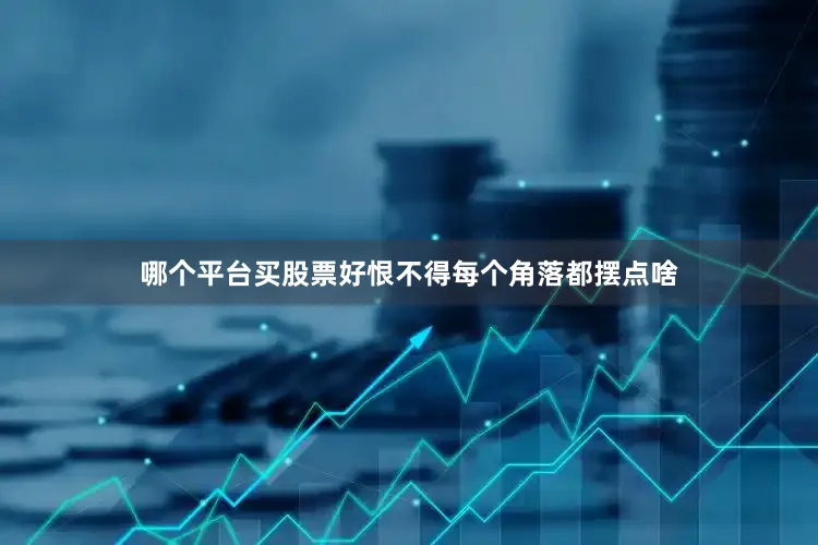 哪个平台买股票好恨不得每个角落都摆点啥