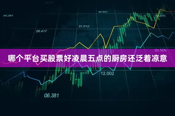 哪个平台买股票好凌晨五点的厨房还泛着凉意