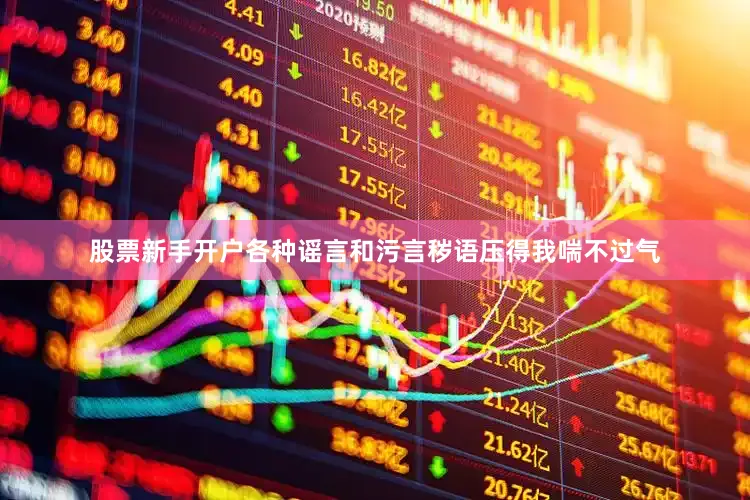 股票新手开户各种谣言和污言秽语压得我喘不过气