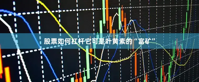 股票如何杠杆它可是叶黄素的“富矿”