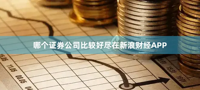 哪个证券公司比较好尽在新浪财经APP