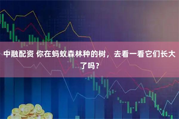 中融配资 你在蚂蚁森林种的树，去看一看它们长大了吗？